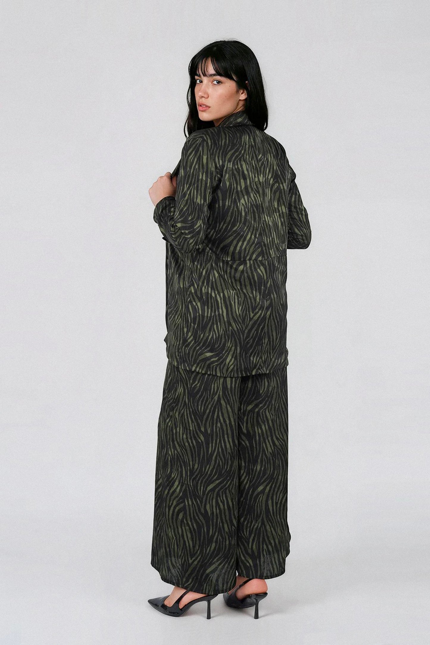 Zibra V Veste